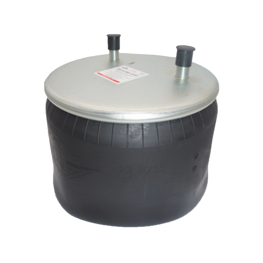 Air Spring, reference W01-358-8755